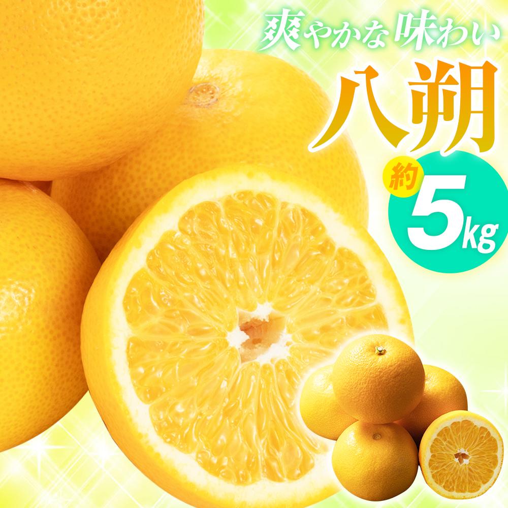 【ふるさと納税】爽やかな味わい 八朔 約5kg【2027年2月中旬～2027年3月下旬配送】 | 柑橘 みかん ミカン 果物 フルーツ 香川県 高松市 果実 果肉 蜜柑 上品 食感 甘さ 酸味 ギフト 贈り物 自宅用 家庭用