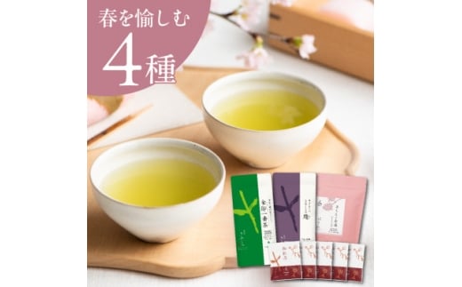 ＜春セット＞季節を愉しむ日本茶 4種お茶を飲み比べ＜39538＞2026年1月以降順次発送【1686580】