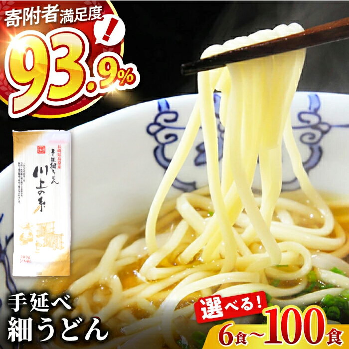 【ふるさと納税】【選べる容量・配送月】手延べ 細うどん 6〜100食 / うどん ウドン 饂飩 小分け 麺 めん 乾麺 小分け おすそ分け 細うどん 手延べうどん 年内配送 年内発送 / 南島原市 / 川上製麺 [SCM065]