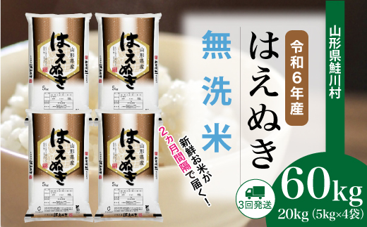 ＜令和6年産米＞ 約2週間でお届け開始　はえぬき【無洗米】60kg定期便(20kg×3回)　鮭川村