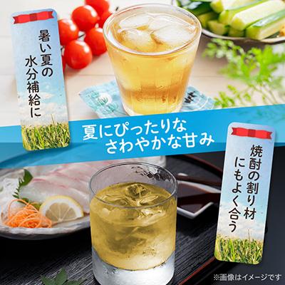 ふるさと納税 山梨市 とうもろこしのおいしいひげ茶 500ml 24本 計12L サーフビバレッジ |  | 02