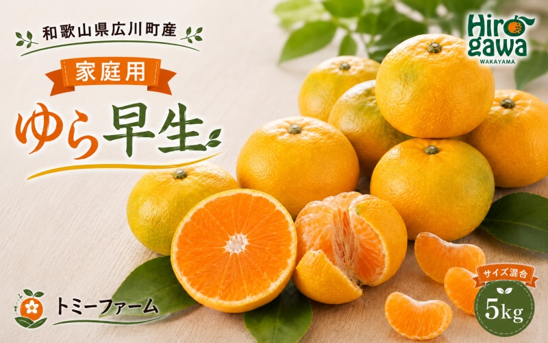 ゆら早生 5kg 家庭用 サイズ混合 / ※2026年10月中旬～11月中旬頃に順次発送予定 和歌山 有田 広川 みかん 由良 柑橘 果物 くだもの フルーツ 果実 【tom003-c-5】