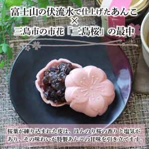 最中 さくら最中 5個 もなか
