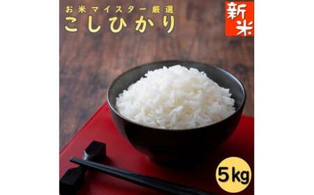 令和7年産 千葉県産コシヒカリ5kg  五つ星 お米マイスター 米 米 米 米 米 根本商店                                                                        