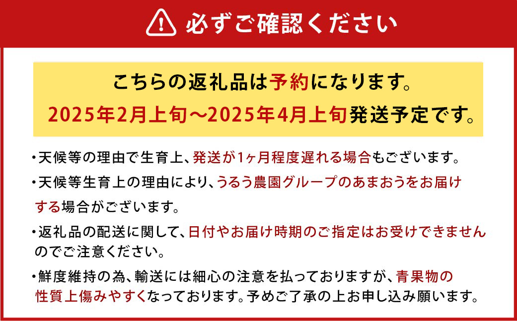 【アフター保証】贈答用 あまおう 約800g