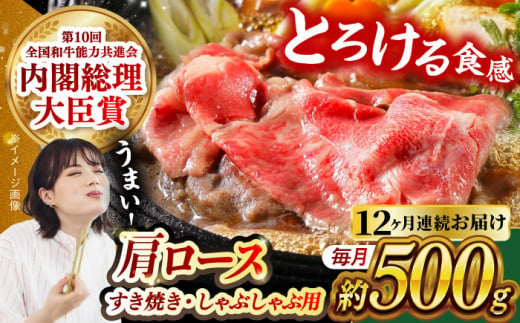 【月1回約500g×12回定期便】長崎和牛 肩ロース（すき焼き用）計6kg 長崎県/長崎県農協直販 [42ZZAA145]