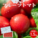 【ふるさと納税】【数量限定】うしの恵 フルーツトマト 化粧箱入り 約1.5kg - 野菜 とまと 産地直送 2025年発送 料理 アレンジ サラダ 鍋 サンドイッチ 完熟 甘い あまい フレッシュ さっぱり 酸味 ギフト 贈答 お礼 御礼 おいしい 国産 高知県 香南市【常温】mj-0013