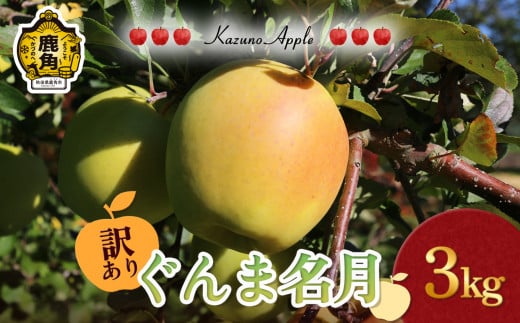 《 先行予約 》訳あり 鹿角りんご「ぐんま名月」3kg（7～10玉前後）【佐藤秀果園】●2025年11月上旬発送開始 リンゴ 林檎 家庭用 訳あり みずみずしい 果汁 完熟 旬 県産りんご お中元 お歳暮 贈り物 お見舞い グルメ ギフト 故郷 秋田 あきた 鹿角市 鹿角 送料無料 