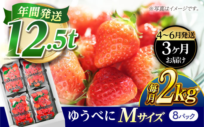 《4月より発送開始》 【3回定期便】 いちご Mサイズ ゆうべに 2kg（8pc）【熊本ベリー】 [ZER023]