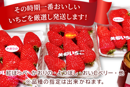 A-330 【農家直送！】完熟いちご（350g×3パック）・いちごジャムセット（150g）