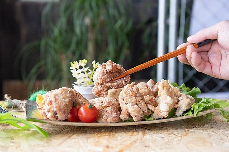 中津からあげ イロトリドリ 彩鶏々 骨なしミックス 1kg 家庭調理 中津からあげ 唐揚げ からあげ から揚げ 弁当 おかず お惣菜 おつまみ 大分県 中津市