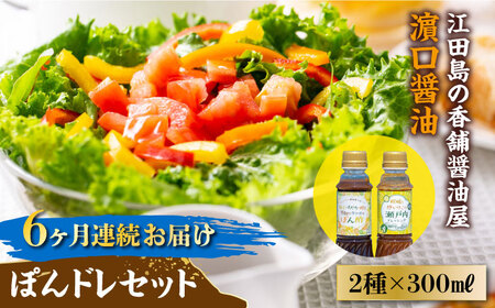 【全6回】醤油 ぽんドレセット 300mL×2種 濱口醤油[XAA030]
