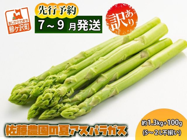 アスパラガス 先行予約 2026年 夏アスパラガス 約1.3kg+100g S～2L 訳あり 不揃い 佐藤農園 規格外 アスパラ グリーンアスパラ 野菜 夏野菜 夏 旬 産地直送 高評価 青森 青森県 鰺ヶ沢町 冷蔵配送 7月～9月発送