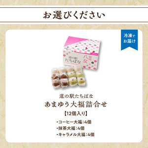 ＜道の駅たちばなオリジナル＞あまゆう大福詰合せ１２個入り 054-008