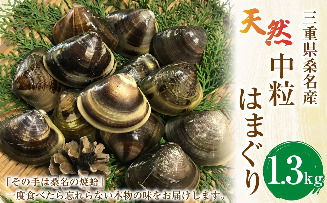 【指定日必須】【配送不可地域有】マルヨシ水産 桑名産中粒天然蛤 1.3kg（約40～45個）はまぐり ハマグリ 魚介 貝 魚貝 活はまぐり 焼きはま 海鮮 網焼き 酒蒸し お吸い物 パエリア パスタ