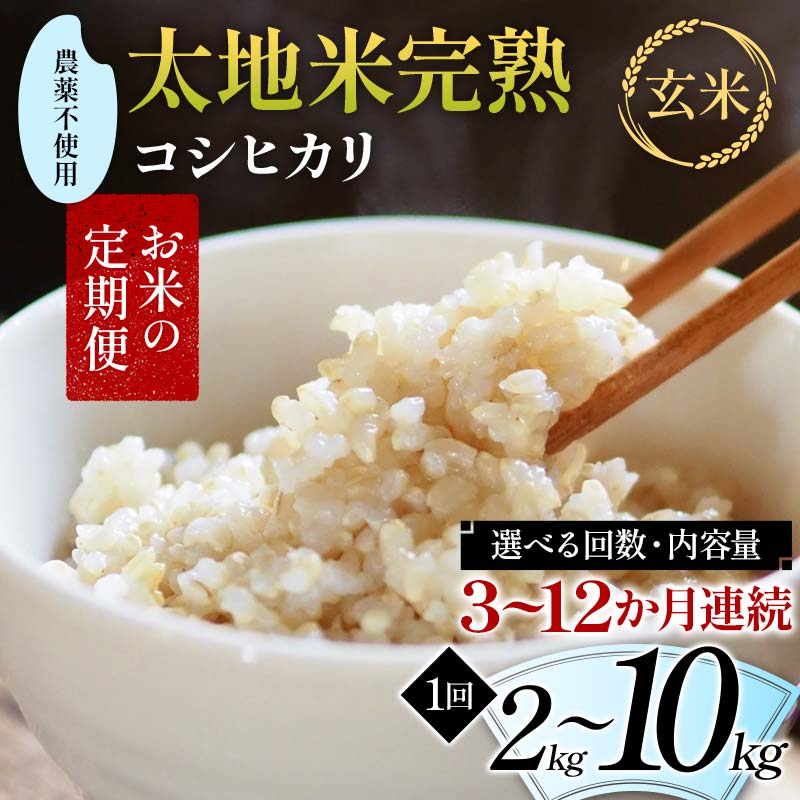 【ふるさと納税】＼選べる回数・内容量／ お米の定期便 農薬不使用米 太地米完熟 【こしひかり】 玄米 2kg 3kg 5kg 10kg × 3か月 6か月 9か月 12か月 ブランド米 お米 人気 F7X-0400var