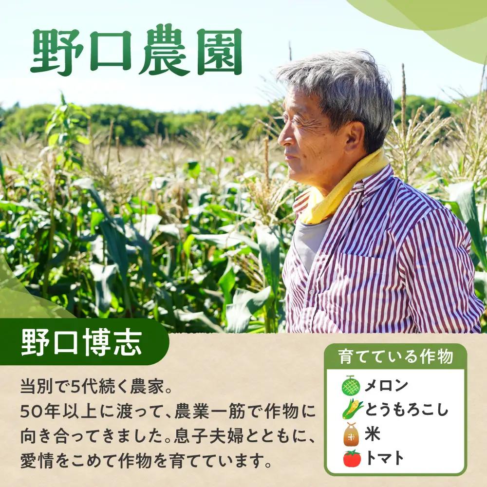 野口農園お米セット10kg「ななつぼし・おぼろづき」｜ お米 10kg 北海道産 産地直送 ブランド米 食べ比べ