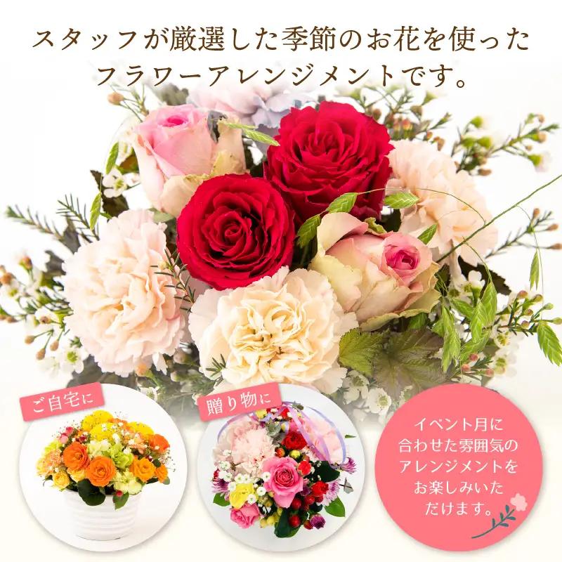 ギフト お楽しみ 季節のフラワーアレンジメント 生花【福井県 花 おしゃれ プレゼント ギフト】 [e51-a003_01]