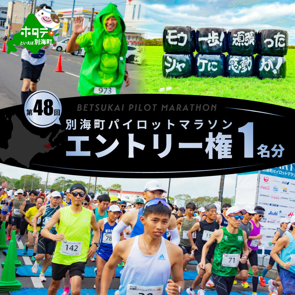 【ふるさと納税】第48回別海町パイロットマラソン マラソン（42.195km）の部エントリー権【PM0000001】（ ふるさと納税 パイロットマラソン ふるさと マラソン 北海道 別海町 ）