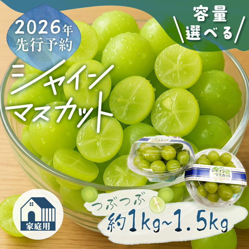 【ふるさと納税】【2026年先行予約】山梨県産 ご家庭用 つぶつぶ シャインマスカット｜約1.0kg・約1.5kgから選べる 果粒 大粒 甘い 種なし 高糖度 フルーツ 果物 葡萄 家庭用 産地直送 送料無料