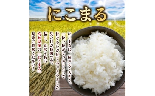 【令和8年産】 米 にこまる 計 15kg 定期便 5kg 3ヶ月 お米 白米 精米 高知県産 ごはん ご飯 弁当 おにぎり 料理 高知県安芸市 四国 山地 清流 安芸平野 風 日照時間 超早場米 粒
