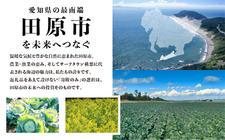 《返礼品なし》愛知県田原市への寄付 40,000円分 応援寄附金 応援 選べる 金額 使い道 愛知県 田原市 渥美半島