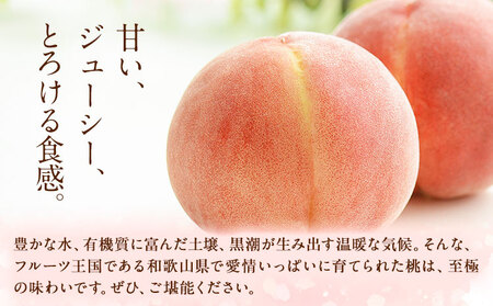 【先行予約】秀品和歌山の桃約4kg 紀の川市厳選館 《2024年6月下旬-8月上旬頃より順次出荷》 和歌山県 紀の川市