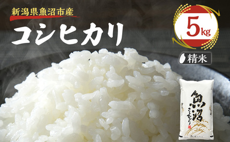 令和7年産【雪国逸品 精米5kg】越後魚沼郷 魚沼産コシヒカリ お米 人 自然調和 ミネラル 奇跡 自然環境 努カ 香り つや 粘り 極上