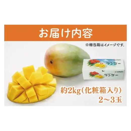 【先行受付】【2027年発送】豊見城産キーツマンゴー約2kg（化粧） AE015