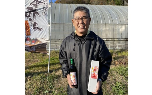梅酒 菅谷たたらの梅酒 500ml x 2本 | 梅酒 梅酒 うめしゅ 贈答用 お酒 うめしゅ 500ml 2本 2本セット セット 詰め合わせ 飲み比べ お酒 酒 アルコール リキュール 熟成 たた