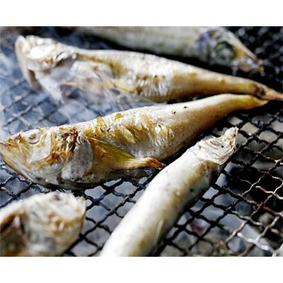 ふるさと納税 宮津市 日本海産　丸々太ったハタハタさん | 