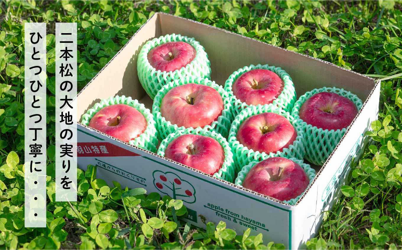 羽山りんごジュース 無添加 果汁100%（ふじ） 1000ml 6本セット りんごジュース りんご リンゴ 人気 ランキング おすすめ ギフト 故郷 ふるさと 納税 福島 ふくしま 二本松市 送料無料