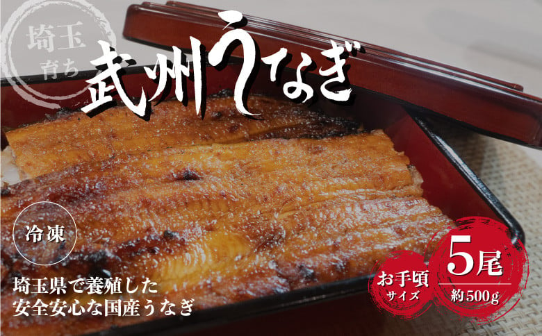 
武州うなぎ 国産うなぎ蒲焼 5尾 お手頃サイズ 冷凍真空パック（約500g）【埼玉県 東松山市 母の日 鰻 父の日ウナギ 大容量 誕生日プレゼント 鰻の蒲焼き 特選品 美味しいお取り寄せ 贈り物 グルメ 旬 おすすめ 国産 大きいサイズ 選べる 家庭用 ギフト 冷凍真空パック レンジ 御歳暮 お歳暮 贈り物 土用の丑 お祝い 】
