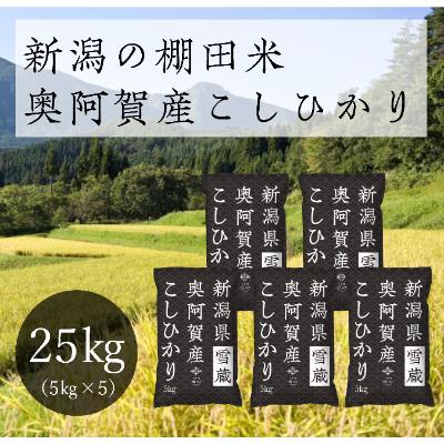 ふるさと納税 阿賀町 【令和8年産先行受付・2026年10月13日以降発送】新潟県奥阿賀産こしひかり25kg(5kg×5)
