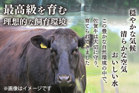 艶さし！【A4～A5】佐賀牛サーロインステーキ 600g(150g×4枚)【佐賀牛 A4等級以上 サーロイン ステーキ 霜降り 脂の甘み 赤身 芳醇な香り ジューシー 逸品 記念日】(H112272)