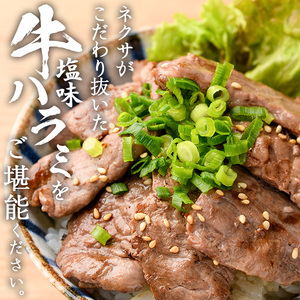 塩味 牛ハラミ (計800g) 小分け 牛肉 肉 ハラミ 牛はらみ 味付け 焼肉 塩 BBQ 冷凍 大分県 佐伯市【DH298】【(株)ネクサ】