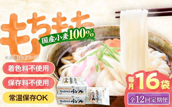
            【全12回定期便】もちもち子 うどん 16食《豊前市》【富士菊】うどん 麺[VAI069]
          