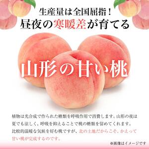 《先行予約 2026年発送》～わたしのオススメ～山形県産もも2kg「玉うさぎ」 もも モモ 桃 デザート フルーツ 果物 くだもの 果実 食品 山形県 FSY-2871
