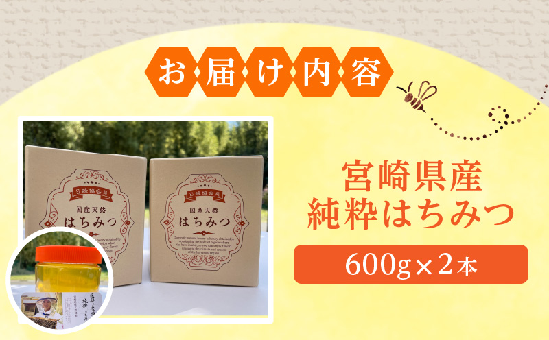 【数量限定】宮崎県産純粋はちみつ(600g×2本) 国産 蜂蜜 ハチミツ はちみつ 600g 2本 天然 純粋 純粋蜂蜜 純粋はちみつ 天然蜂蜜 ミツバチ 蜜蜂 パン ヨーグルト 紅茶 グルメ お取り