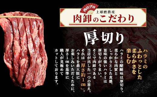 ※12月寄附限定 タン先炭火焼付※【 厚切り 】牛 ハラミステーキ【500g】 焼肉 ハラミ 焼き肉 はらみ 塩味 牛肉 肉 冷凍 小分け パック キャンプ バーベキュー 067-0678