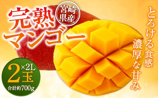 【7月15日まで】＜宮崎県産 完熟マンゴー 2L×2玉＞ マンゴー 果物 くだもの フルーツ 完熟 南国