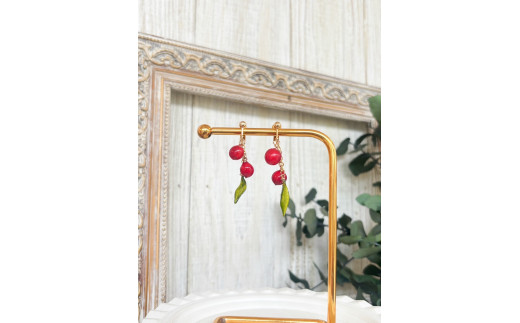 【B-103-E】本物の郡上南天を閉じ込めたイヤリング（タイプC） ジュエリー アクセサリー  レディースジュエリー アクセサリー  イヤリング 20000円