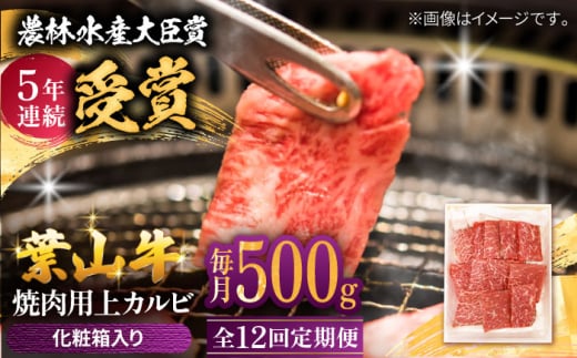 【全12回定期便】 葉山牛 焼肉用上カルビ500g / 牛肉 牛 肉 お肉 国産 赤身肉 やきにく 焼き肉 カルビ かるび 上カルビ 上かるび BBQ ブランド牛 和牛 黒毛和牛 国産牛 贈答 ギフト 冷凍 葉山 定期 定期便 【有限会社葉山旭屋牛肉店】 [ASAP046]
