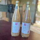 【ふるさと納税】濃厚!ももネクター 720ml×2本 モモ 桃 ジュース 飲料水 フルーツ くだもの 果物 果実 果肉 長崎県産 国産 九州 長崎県 長崎市 送料無料