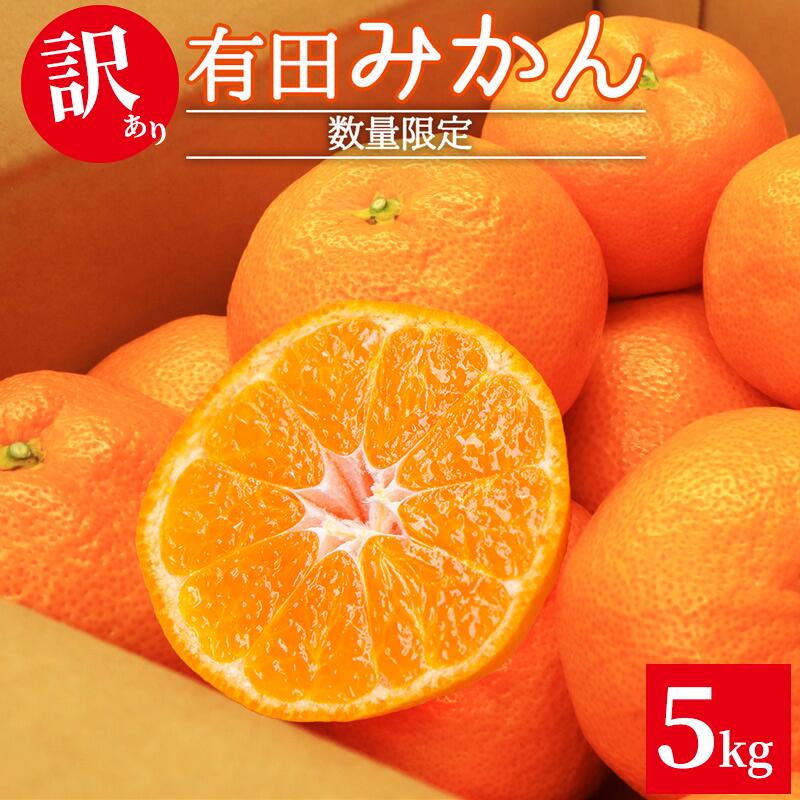 【ふるさと納税】【2025年先行予約】【限定】 （有田みかん 5kg ご家庭用【ミカン 蜜柑 柑橘 温州みかん 有田みかん 和歌山】