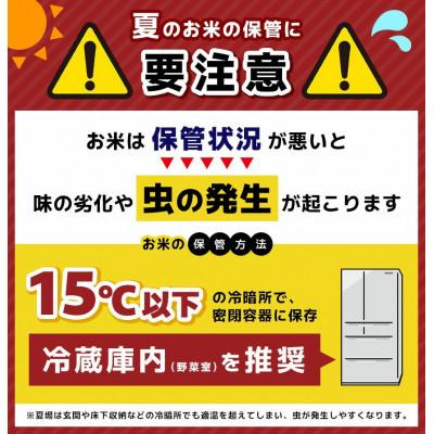 ふるさと納税 和水町 【毎月定期便】熊本県産 くまさんの輝き 無洗米 10kg全6回 |  | 03
