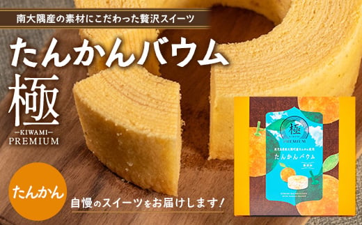 
                  バウムクーヘン  ≪極≫ たんかん 直径約15cm SH-712 │バウムクーヘン バームクーヘン スイーツ ケーキ 焼き菓子 洋菓子 お菓子 たんかん 柑橘 みかん おかし おやつ デザート プレゼント 贈り物 ギフト 常温 鹿児島県 南大隅町 31℃LINE花子
                