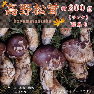 
                  ＜和歌山産＞～香りそのまま真空パック～高級・希少 高野松茸　200g(訳有品詰合せ)【1340753】
                