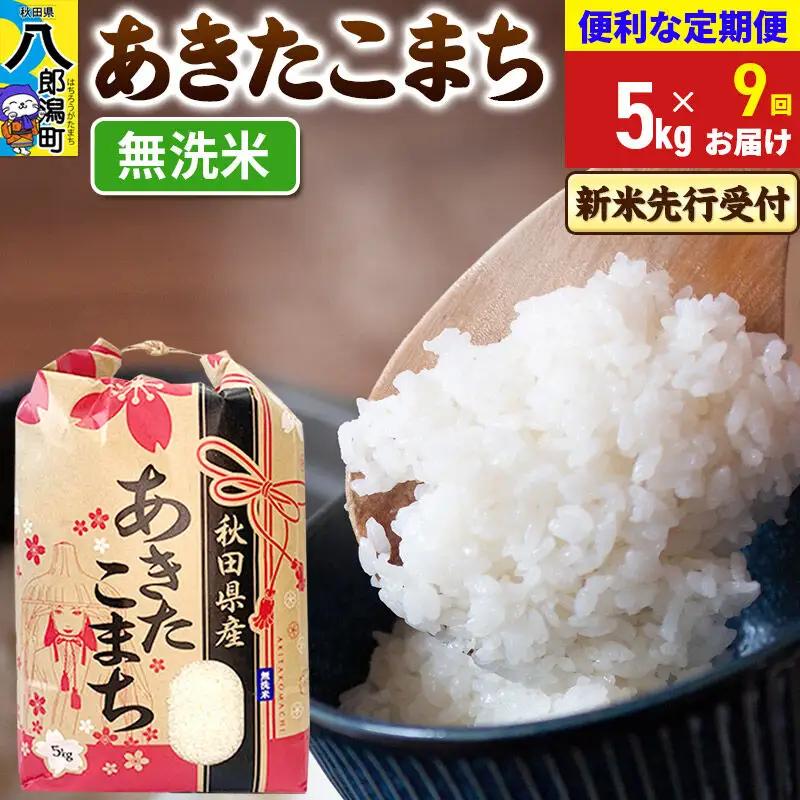 《令和8年産 新米受付》《定期便9ヶ月》あきたこまち 5kg【無洗米】 秋田県産 こまちライン