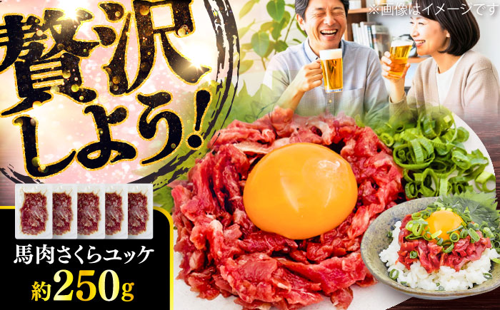 馬肉さくらユッケ 約250g(約50g×5パック) / 馬肉 ユッケ 馬刺しユッケ 小分け 生食用 熊本肥育 桜ユッケ 馬刺し 熊本県 おつまみ 晩酌 菊陽町【五右衛門フーズ】 [BHCY029]